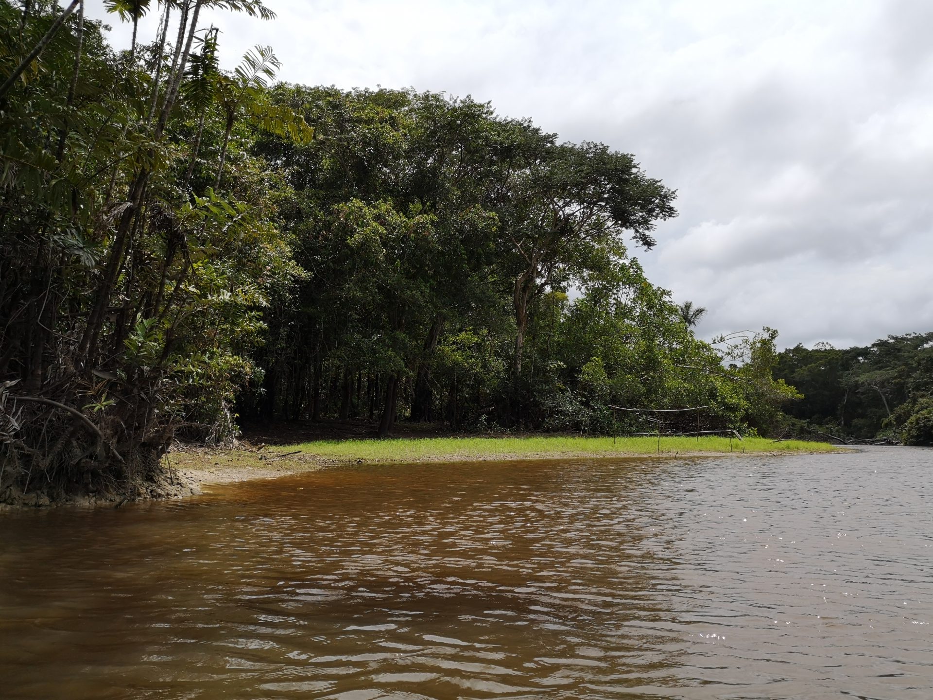 Razglednice iz Latinske Amerike – Džungla I deo