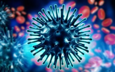 Grip, mladi i koordinaciona tela