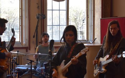 Koala voice: Kasno Radovan u Beograd stiže