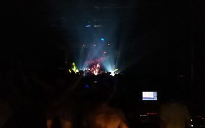 Elektropionir u ulozi pankera