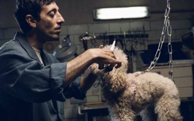 Best of Europe 2018 na Festivalu evropskog filma Palić