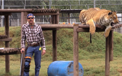 Tiger King: pomeranje granica moderne televizije
