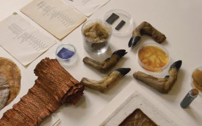 Svečano otvaranje izložbe Vivarium u Galeriji Doma omladine