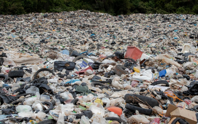 Divlje deponije – nerešiv problem u Srbiji?