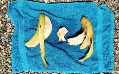 Pokretne razglednice Miloša Tomića