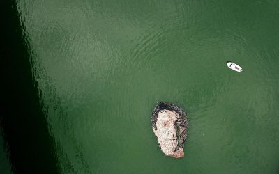 Portret sa likom Jovana Memedović od flaša na Svetski dan reka