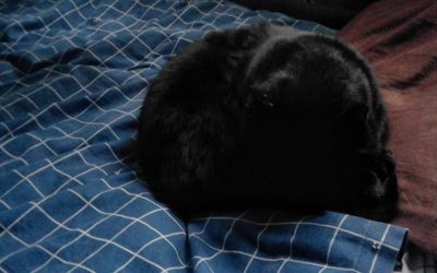 Samoća u crnom – kratka priča Uroša Višnjevca