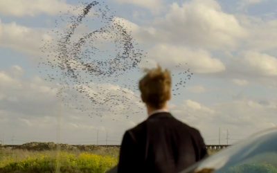 Srastanje – kratka priča Uroša Višnjevca