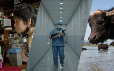 Izdvajamo sa Beldocsa: 5 filmova o ekološkim izazovima