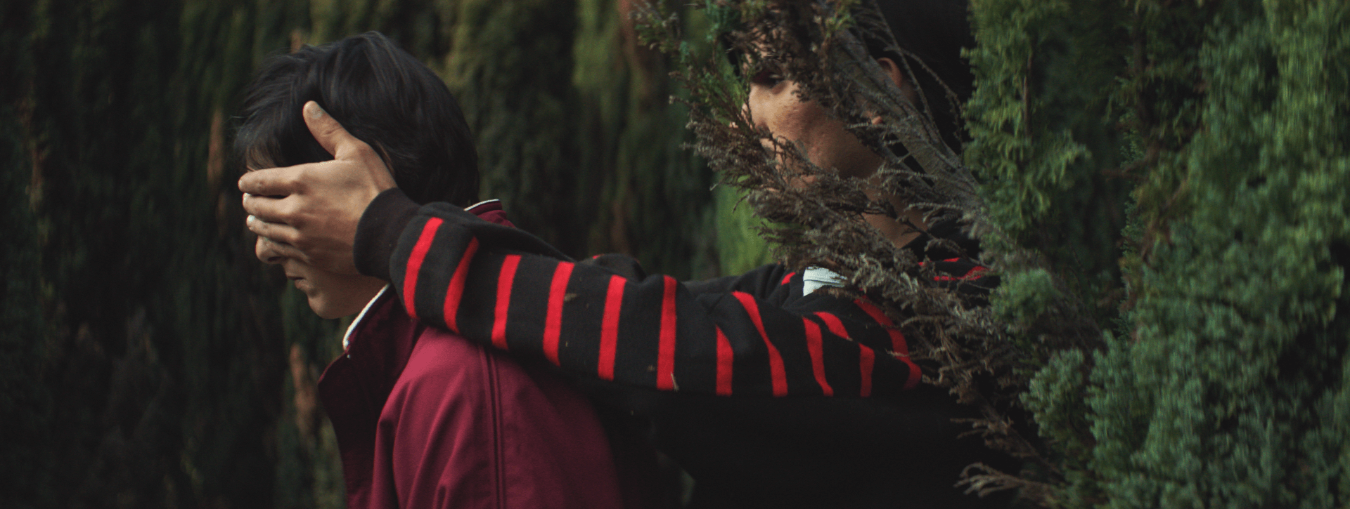 OASIS still 1 (1)