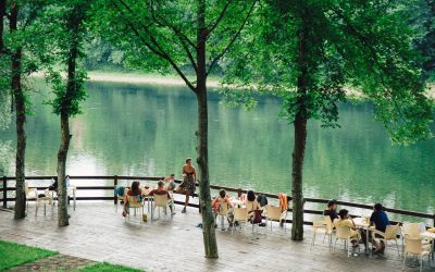 Objavljen takmičarski program 9. Bašta Festa