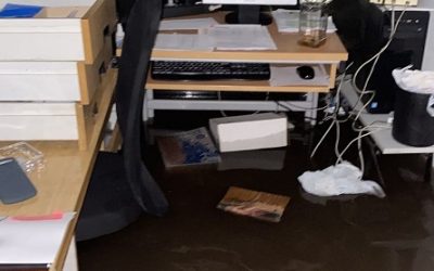 Dom kulture Studentski grad ponovo poplavljen