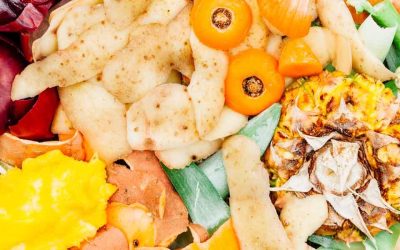 Međunarodni dan svesti o gubitku i rasipanju hrane