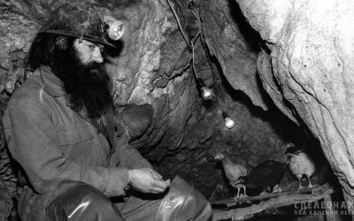 DOK CINEMA DOB: Projekcija i razgovor o filmu Speleonaut/Pod kamenim nebom