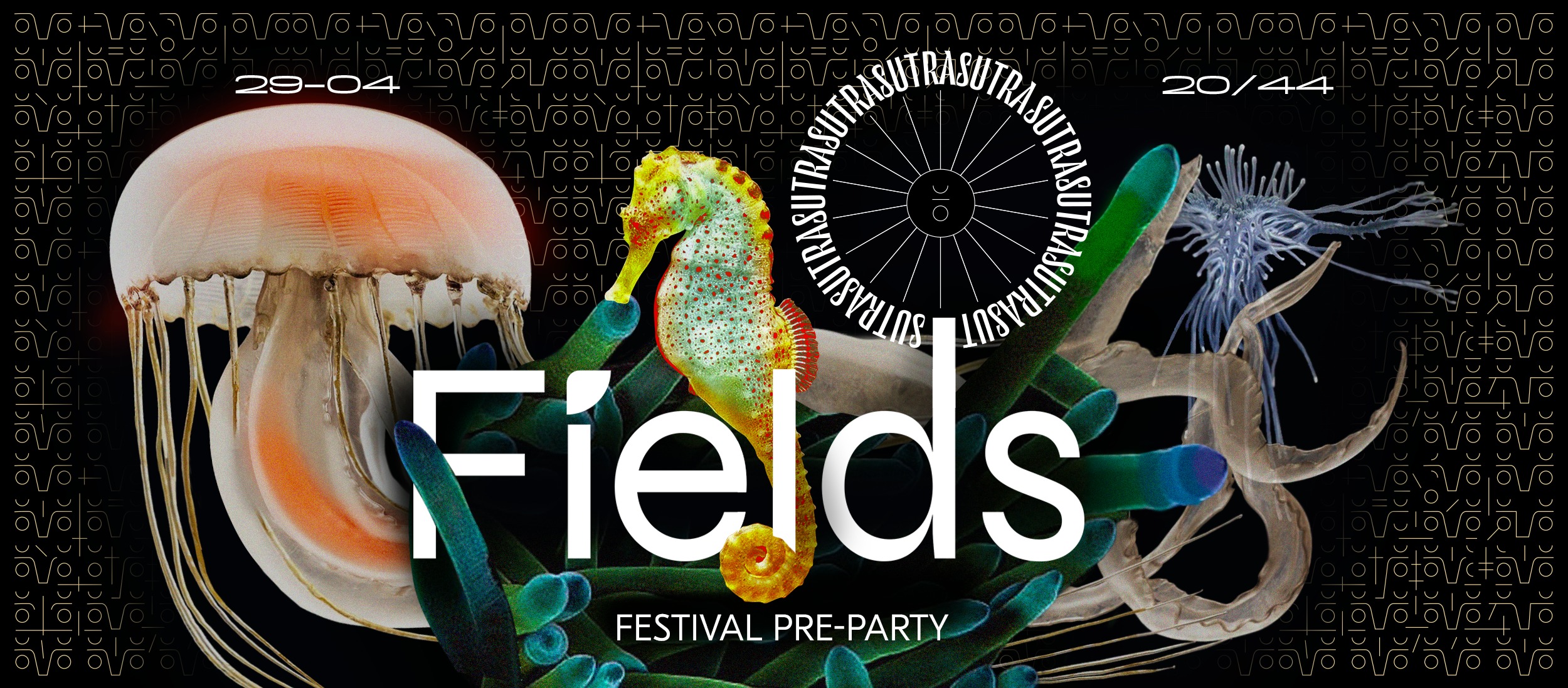 342688583_1262785417966230_4788582979460512811_n