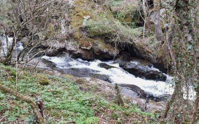 Građani Prijepolja i okoline protiv izgradnje MHE Velika Ploča