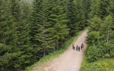 Kako izgledaju Putevi heroja?