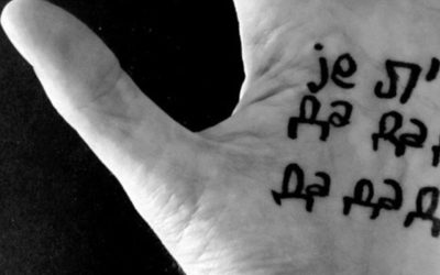 Jesenji Orkestar predstavlja sedmi studijski album