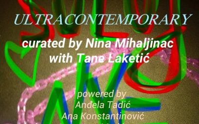 Fundraising SULUJ izlozba i novogodišnja žurka