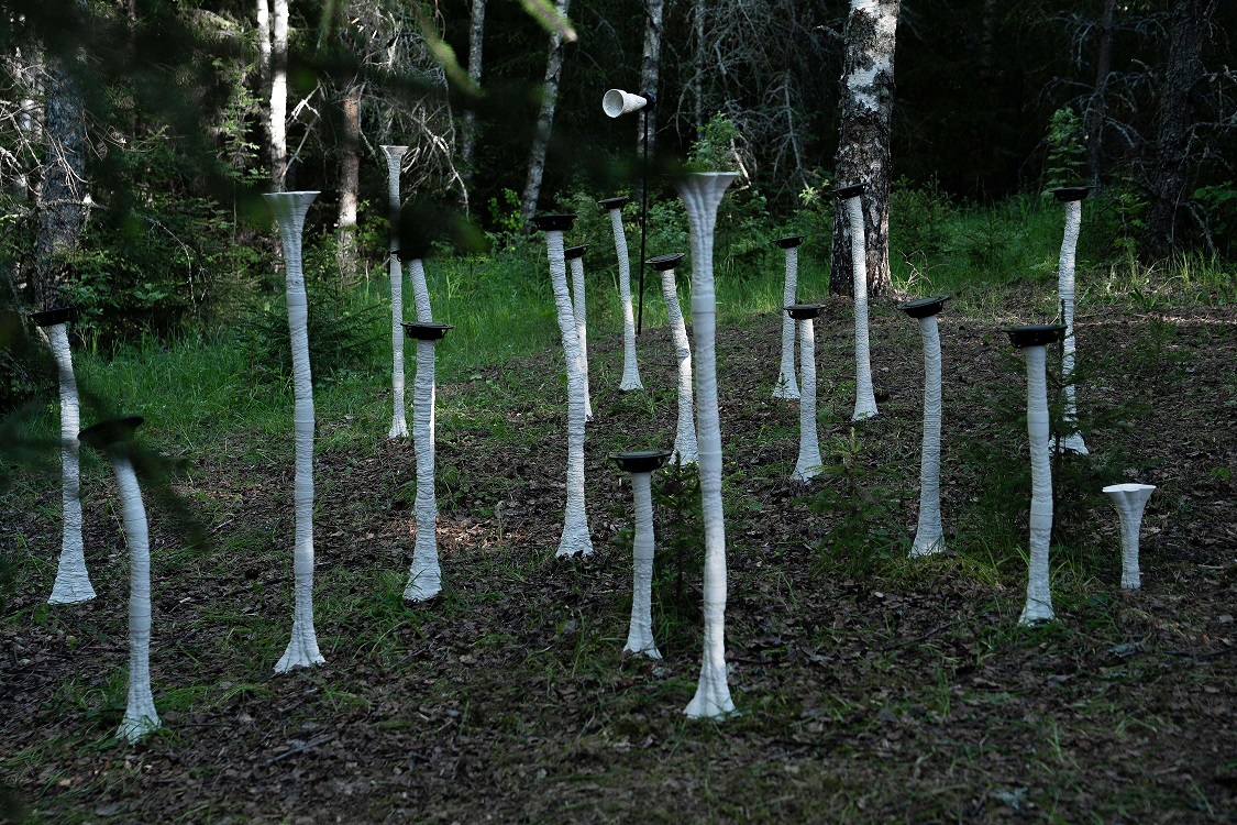 marco-barroti—fungi_54006000256_o12