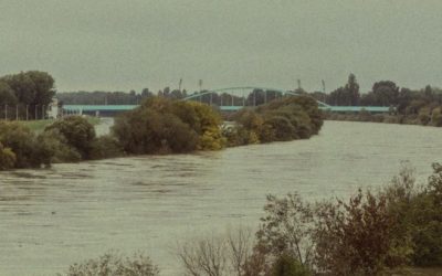 Niprije i Niko Nikolić predstavili novi singl – Vodostaj Save