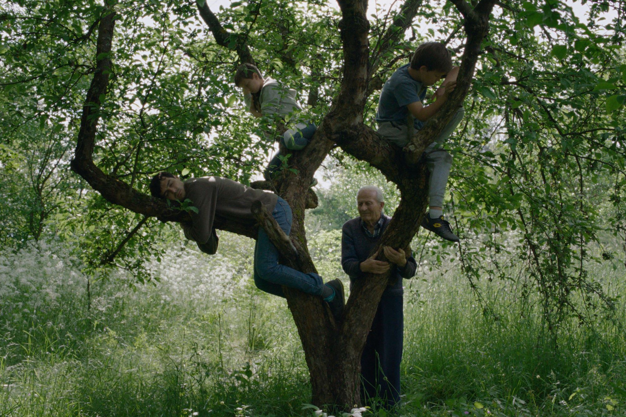 Vetre, pričaj sa mnom_kadar iz filma_Foto Promo (1)