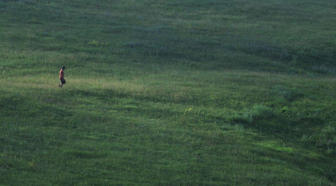 Film Linije želje na Festivalu autorskog filma