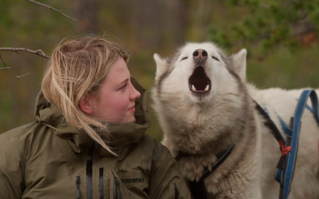 Granice suživota: Čovek i životinje u savremenom dokumentarnom filmu