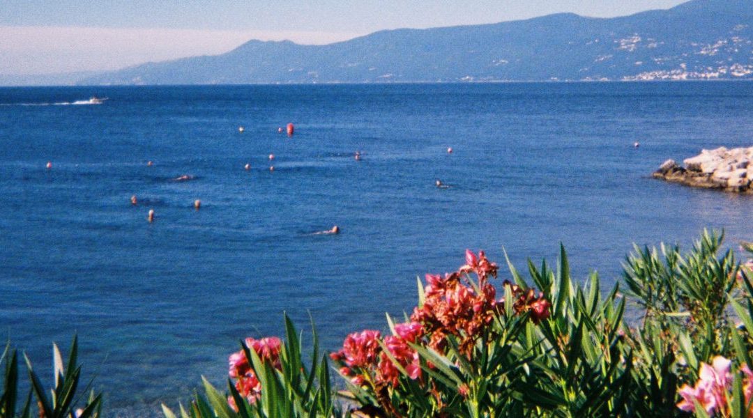 Vodič kroz prvo izdanje Surf Festivala