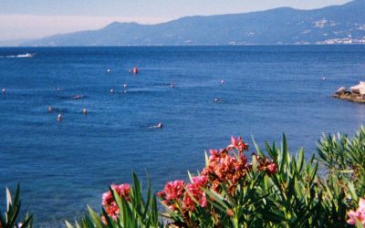 Vodič kroz prvo izdanje Surf Festivala